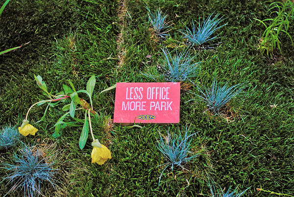 Natural Systems Domination Less Office More Park