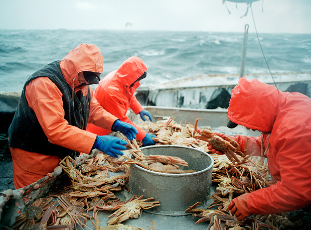 Fish Work The Bering Sea x Corey Arnold